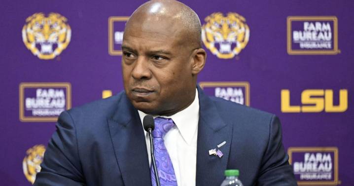Interim AD defends LSU as coaching search begins amid chaos. 'LSU is not broken.'