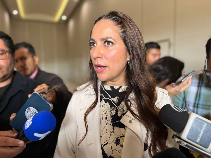 No hay elementos para juicio de lesividad por concesión de la Silao