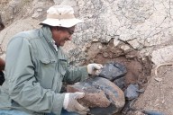 Hallazgo de restos fósiles de ictiosaurio marca hito en la paleontología venezolana