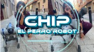 CHIP, el perro robot que pasea por Albacete