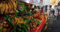 Hogares peruanos con varios integrantes recuperan gasto en consumo masivo en el segundo trimestre del 2025 l hogares peruanos l Últimas