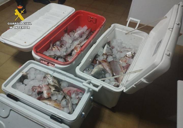 Intervienen 100 kilos de pescado a cuatro pescadores deportivos en la isla de Lanzarote