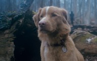 N.J. director’s ‘Good Boy,’ a new horror movie with loads of hype, stars his own dog