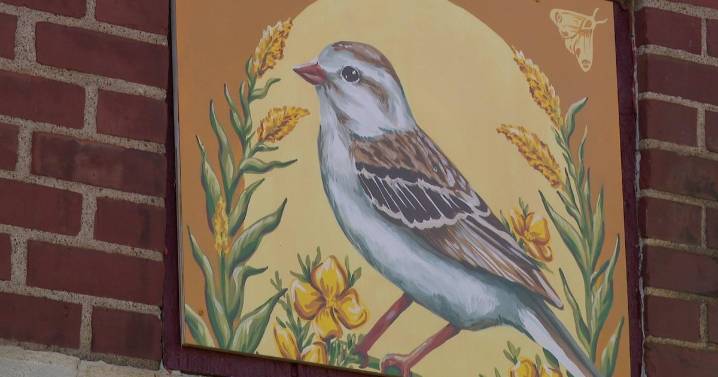 Hopkins mural paints powerful message to protect Minnesota birds