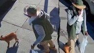NYC man with 45 arrests charged in fatal hit