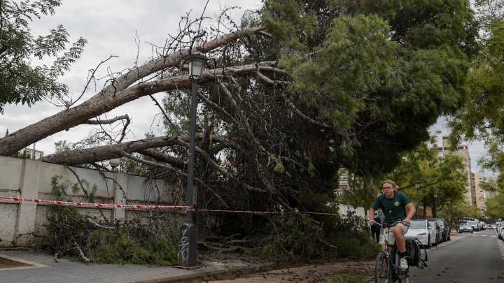 La alerta por lluvias torrenciales deja sin clases a más de 115.000 alumnos de Valencia y Castellón este lunes
