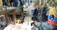 Operativo en el Amazonas deja ocho disidentes de las FARC fuera de combate