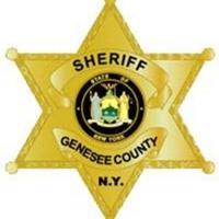 Rochester man killed in Pavilion accident