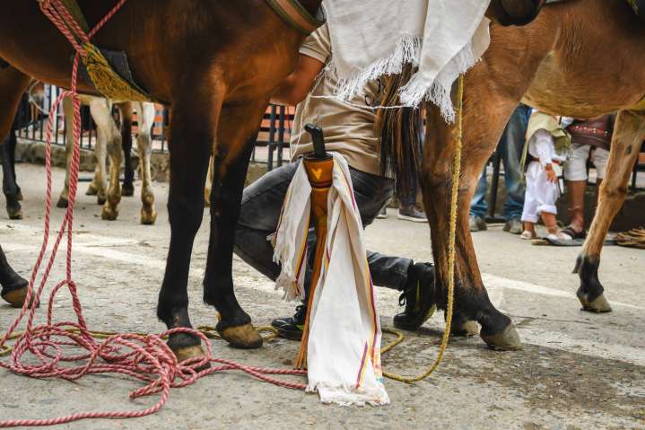 Murillo vive la tradición del arriero en el corazón de los Andes