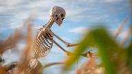 This South Carolina city transforms into a 'City of Halloween' in October