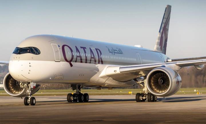 Vegetarian passenger dies after 'eat around meat' advice on flight; family files lawsuit