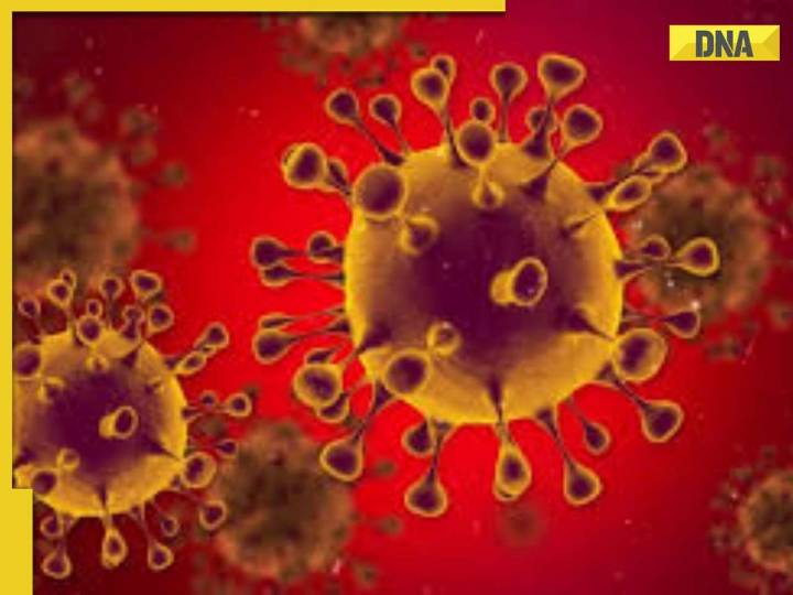 Viral outbreak causes seven deaths within 20 days in Almora district, typhoid de