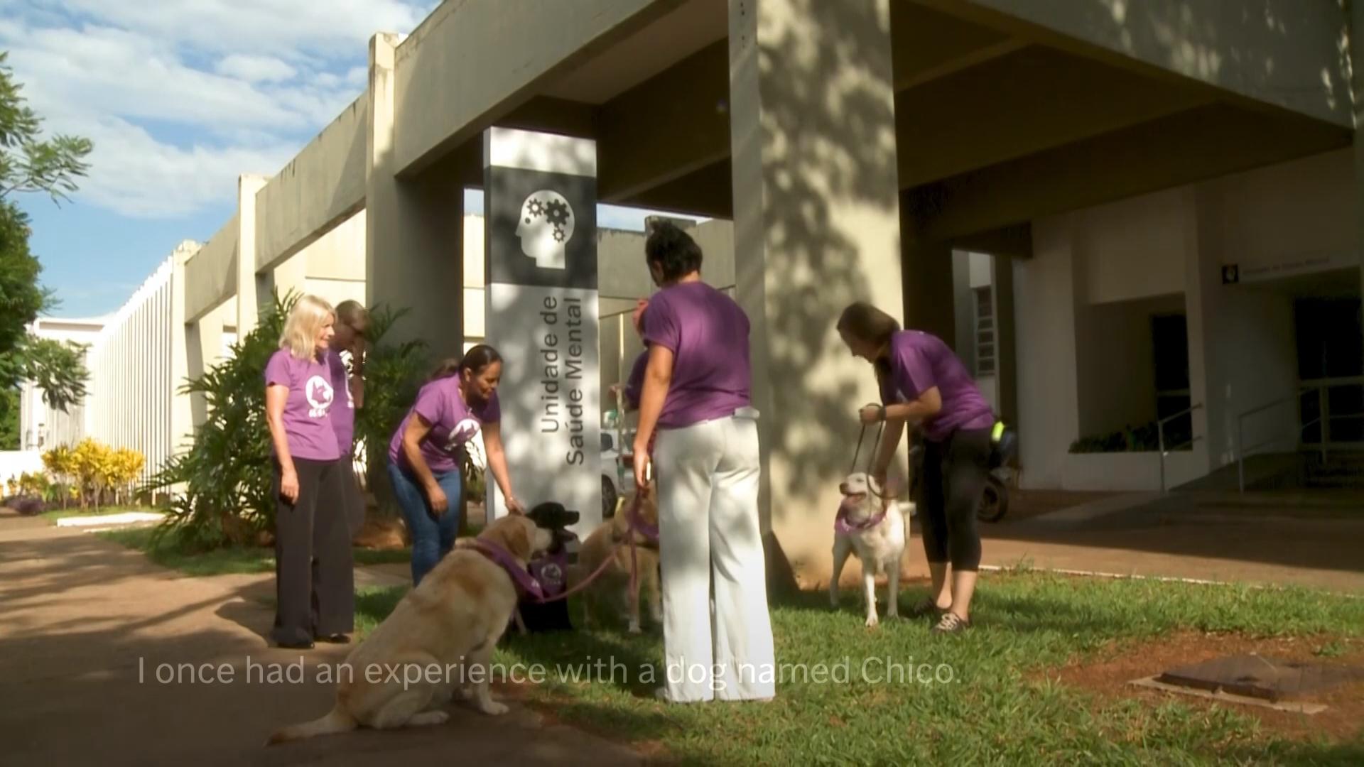 Therapy dogs bring joy to mental health patients in Brasilia