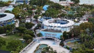 Developer set to take over Miami Seaquarium outlines new plans for park, marine mammals