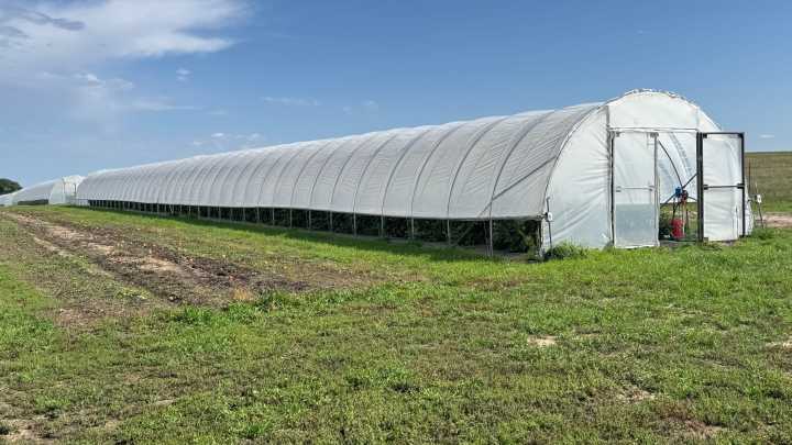 'Tunnel farming' extends growing season by 4 months