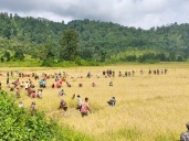 Regional Committee to visit Lapangap, Govt vows to resolve border dispute