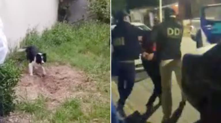 Horror en Las Toninas: un hombre mató a su jefe, le usurpó la casa y lo enterró en el patio