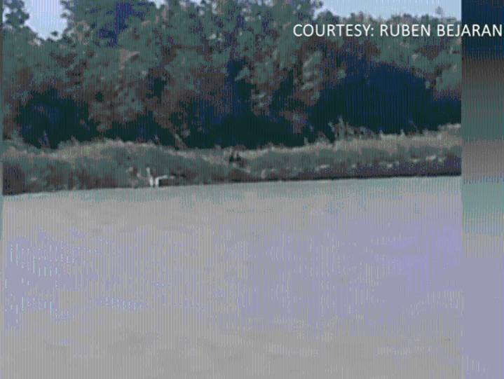 'It wasn’t human': Valley residents share encounters with San Benito 'Dogman'