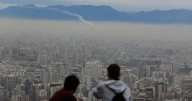 Biodiversidad, calidad del aire y participación ciudadana: Denuncian claves ambientales ausentes en los programas presidenciales