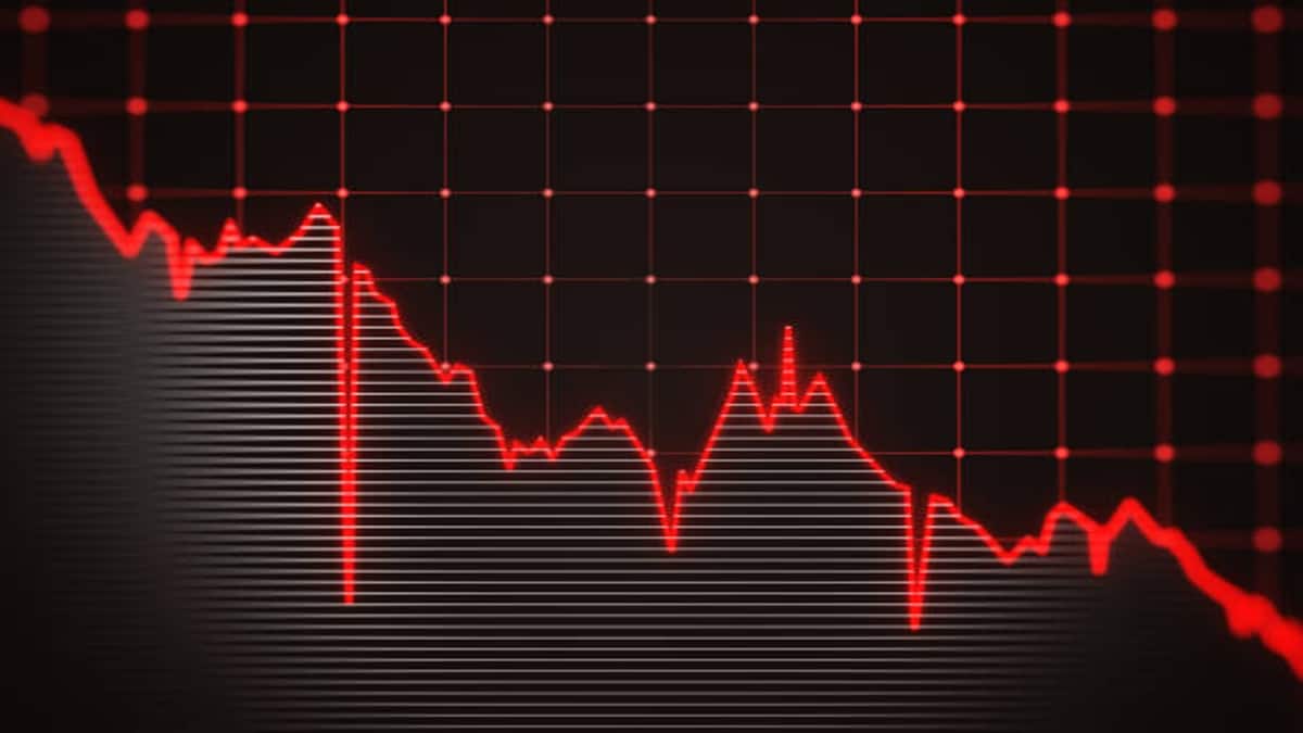 BLS International shares hit 52-week low after MEA imposes 2