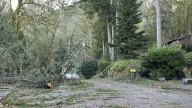 Is western Washington prepared for the next big wind storm?