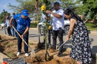 Riohacha impulsa acciones para embellecer la ciudad con limpieza y siembra de palmeras