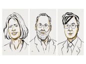 Nobel Prize 2025 awarded to US and Japanese scientists for immune tolerance research [ FULL VIEW ]