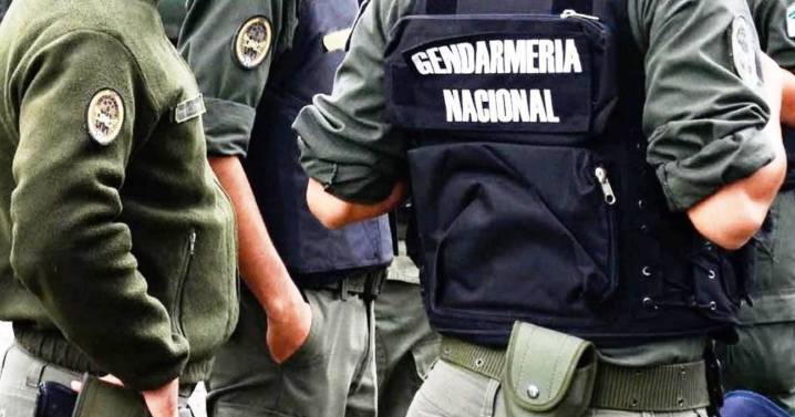 Desbaratan red narco en Río Negro: 11 detenidos, armas y plantaciones de marihuana descubiertas con drones