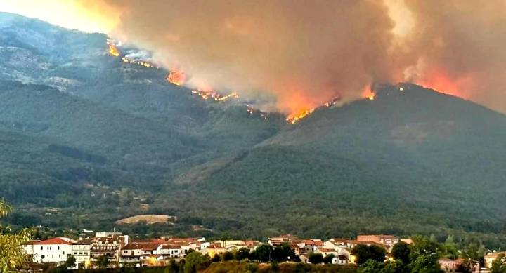 Los incendios son causa de fuerza mayor para poder percibir las ayudas de la PAC