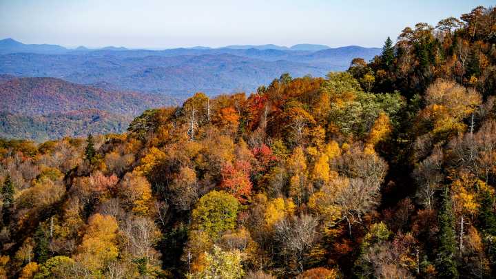 Fall color brightens the Blue Ridge Parkway