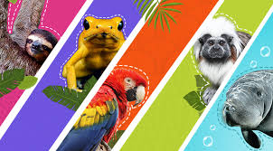 Compra de tierras para proteger el hábitat de una especie en peligro en Colombia