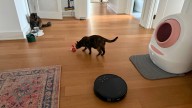 The 7 best vacuums for pet owners, from powerful hair pickup to built