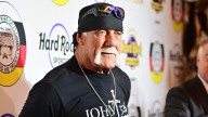 Court doc suggests Hulk Hogan's family  investigating his medical treatment