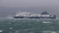 Man killed by tree branch, pedestrian blown into road as storm buffets Wellington, New Zealand