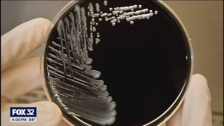Legionnaries' disease investigation tied to nursing facility