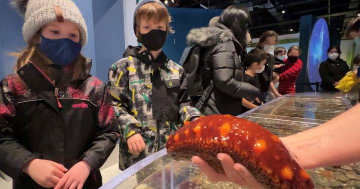 Sea cucumbers wash ashore by the thousands in Oregon town