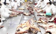 Chile vuelve a comprar carne de la Patagonia libre de aftosa