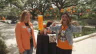 Houston’s favorite spooktacular event is back – ‘Zoo Boo’ at the Houston Zoo