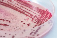 Publix and Walmart sell the newest recalled food in the deadly listeria outbreak