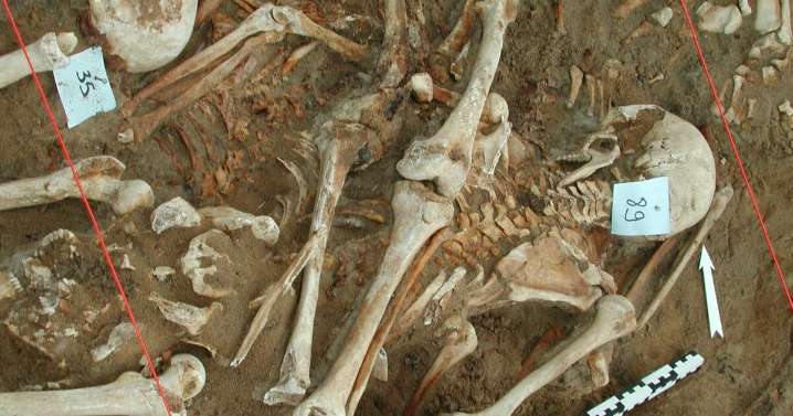 What killed Napoleon's army? Scientists find clues in DNA from fallen soldiers' teeth