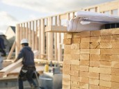 Opinion: Forest industry not collapsing due to tariffs, but because NDP has gutted it from the inside