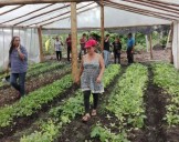 Mujeres ingenieras, protagonistas del cambio en las chacras misioneras