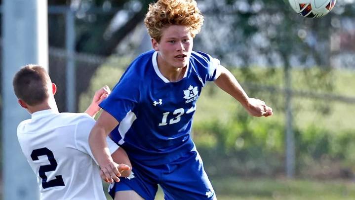 Nine Lenawee County soccer players earn all