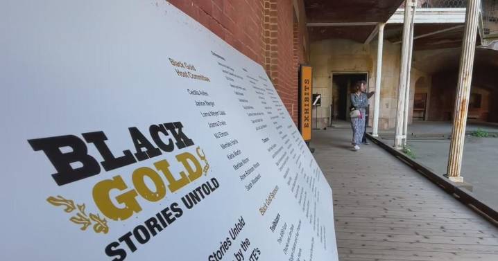 Closed by federal government shutdown, San Francisco art exhibit reopens for Fleet Week
