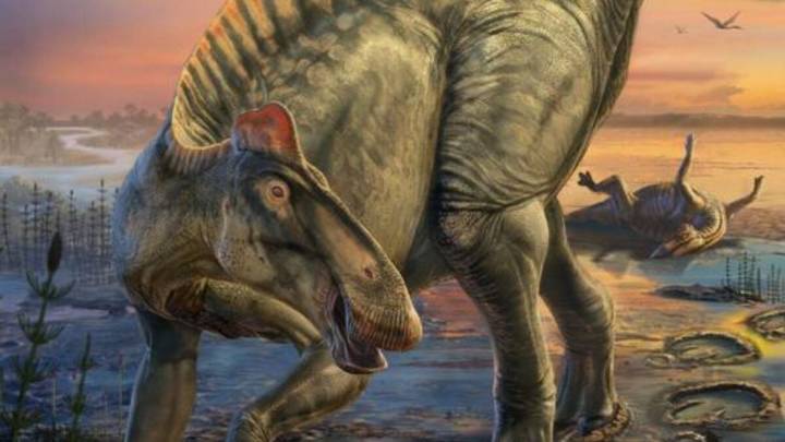 Rare Dinosaur ‘Mummies' Show Their Features as We've Never Seen Them Before