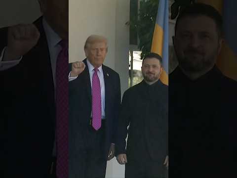 Trump Welcomes Zelenskiy to White House After Putin Call