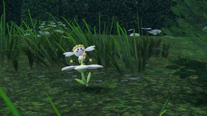 Where to find the different Flabébé colors in Pokémon Legends: Z