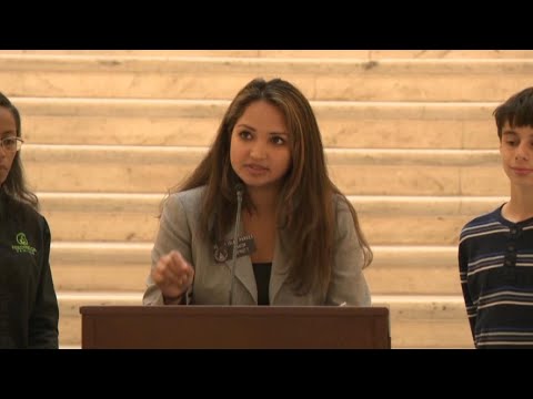 Georgia Democrats call on Gov. Kemp to use some of $14B surplus to step in as SNAP goes on pause