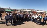 Municipio de Juárez apoya a productores en la compra de toros
