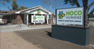New Northern Colorado animal adoption center finds 140 forever homes in first month